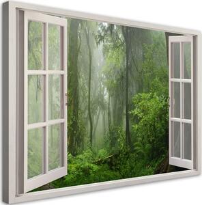 Obraz na plátně, Tropické okno lesa džungle - 100x70 cm