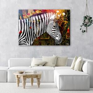 Obraz na plátně, Zebra na barevném pozadí - 60x40 cm