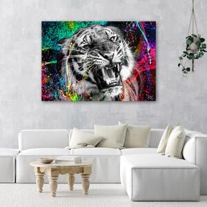 Obraz na plátně, Tygří zvířecí povaha - 60x40 cm
