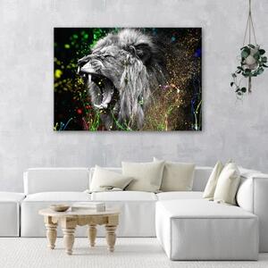 Obraz na plátně, Lví příroda zvířat - 60x40 cm