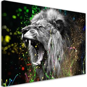Obraz na plátně, Lví příroda zvířat - 120x80 cm