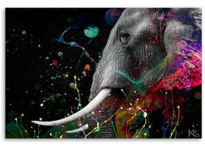 Obraz na plátně, Africká abstrakce slonů - 60x40 cm