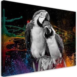 Obraz na plátně, Barevné abstrakce papoušků - 100x70 cm