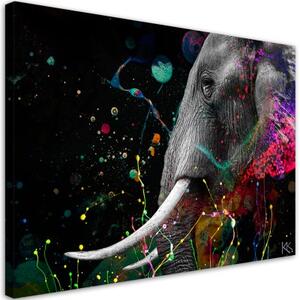 Obraz na plátně, Africká abstrakce slonů - 120x80 cm