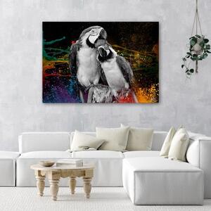 Obraz na plátně, Barevné abstrakce papoušků - 60x40 cm