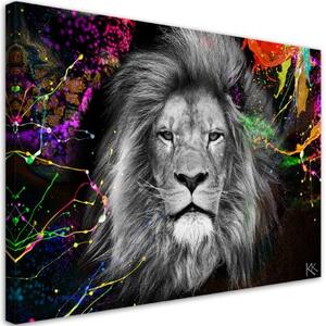 Obraz na plátně, Barevná abstrakce lva - 100x70 cm