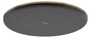 Hansgrohe Raindance Alive S - Hlavová sprcha 300 1jet, EcoSmart, kartáčovaný bronz 24521140
