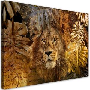 Obraz na plátně, Lev a zlaté listy - 100x70 cm