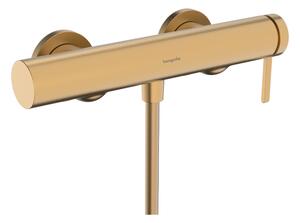 Hansgrohe Finoris - Páková sprchová batéria nástenná, kartáčovaný bronz 76620140