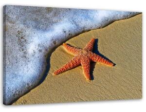 Obraz na plátně Písek na pláži s hvězdicemi - 100x70 cm