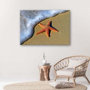 Obraz na plátně Písek na pláži s hvězdicemi - 60x40 cm