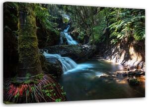 Obraz na plátně Vodopád Lesní příroda - 100x70 cm