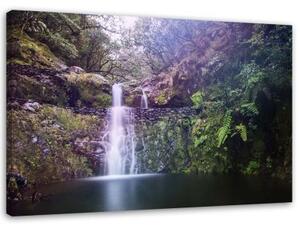 Obraz na plátně Vodopád Lesní příroda - 120x80 cm