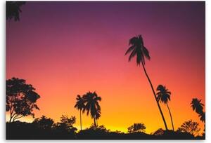 Obraz na plátně Palmy Západ slunce Moře - 60x40 cm