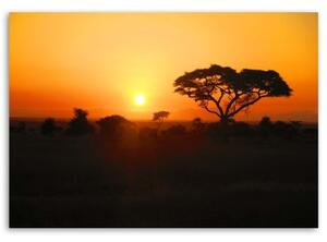 Obraz na plátně Afrika Strom západ slunce - 60x40 cm