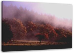 Obraz na plátně Les v mlze Příroda - 100x70 cm