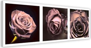 Obraz na plátně panoráma růží - 150x50 cm