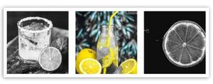 Obraz na plátně Nápoje s citronem panoráma - 90x30 cm