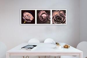 Obraz na plátně panoráma růží - 90x30 cm