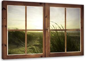 Obraz na plátně Pohled z okna Plážová tráva - 120x80 cm