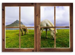Obraz na plátně Výhled z okna na koňskou louku - 60x40 cm