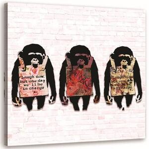 Obraz na plátně Banksyho barevný s opicí - 30x30 cm