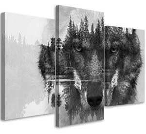 Obraz na plátně třídílný Wolf Forest černá a bílá - 90x60 cm