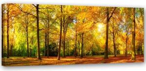 Obraz na plátně Lesní podzimní žlutá - 150x50 cm