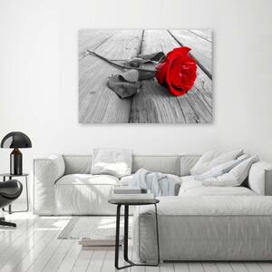 Obraz na plátně Červená růže na dřevěné podlaze - 100x70 cm