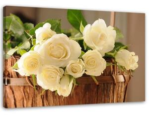 Obraz na plátně Bílé růže Květiny Příroda - 100x70 cm