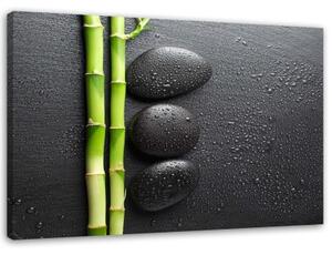 Obraz na plátně Bambusové kameny Zen Stones Black - 120x80 cm