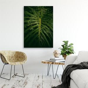 Obraz na plátně Exotické listy Příroda - 40x60 cm