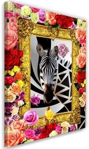 Obraz na plátně Abstraktní barevné květiny Zebra - 40x60 cm