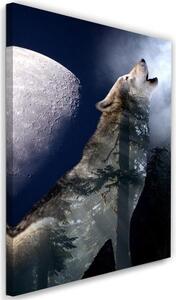 Obraz na plátně Vlk Noc Měsíc Příroda - 40x60 cm