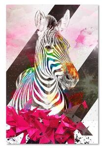 Obraz na plátně Zebra Vícebarevná abstrakce - 40x60 cm