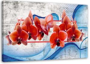 Obraz na plátně Červené květy orchidejí - 100x70 cm