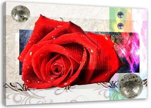 Obraz na plátně Abstrakce červené růže - 60x40 cm