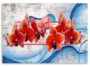 Obraz na plátně Červené květy orchidejí - 60x40 cm