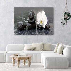 Obraz na plátně Orchid Stones Zen Spa - 60x40 cm