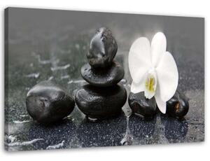 Obraz na plátně Orchid Stones Zen Spa - 100x70 cm
