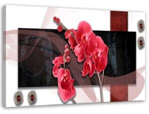 Obraz na plátně Abstrakce červené orchideje - 100x70 cm