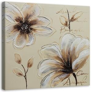 Obraz na plátně Béžová Natura Květiny - 40x40 cm