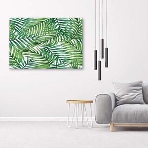 Obraz na plátně Listy abstraktní zelená - 60x40 cm