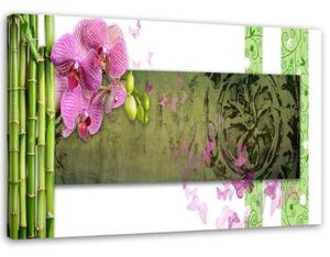 Obraz na plátně Orchidejová bambusová abstrakce - 60x40 cm
