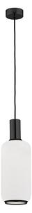 Argon 8563 - Luster na lanku SAGUNTO PLUS 1xE27/15W/230V pr. 14 cm čierna
