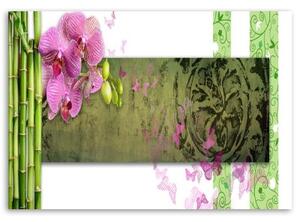 Obraz na plátně Orchidejová bambusová abstrakce - 60x40 cm
