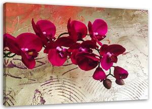 Obraz na plátně Textura květu orchideje - 90x60 cm