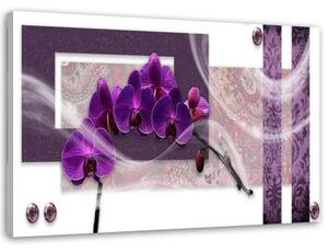 Obraz na plátně Orchidej Violet Abstrakt - 100x70 cm