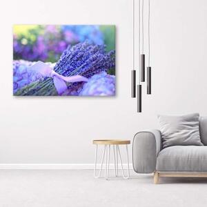 Obraz na plátně Levandulové květiny Příroda - 60x40 cm