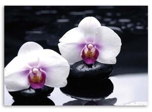 Obraz na plátně Orchidej Zen Stones Purple - 60x40 cm